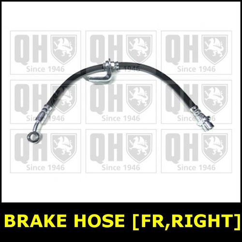 Brake hose front right - front,