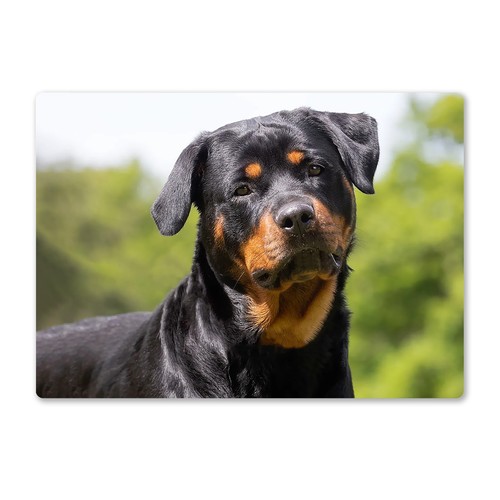 Metal wall sign dogs - metal,
