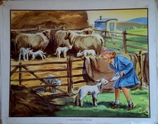 Eileen Soper: 3 Vintage Enid Blyton Prints