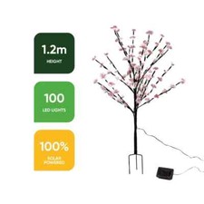 Cherry blossom tree - cherry,