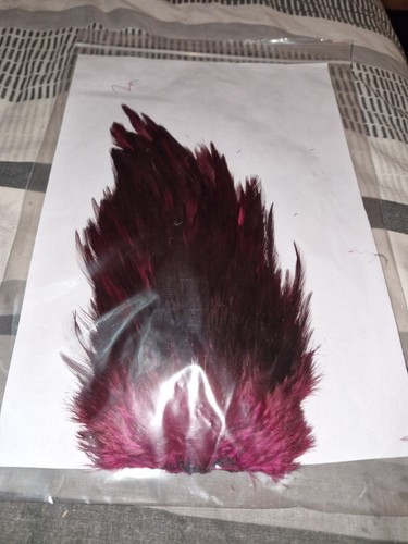 Large saddle cock hackles - ,