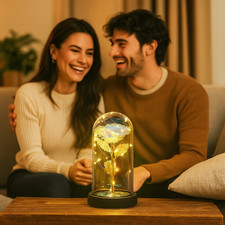 LED Light Dome Gifts For