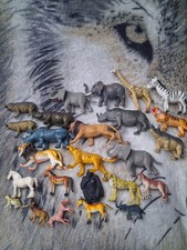 Wildlife Safari Mixed Animals