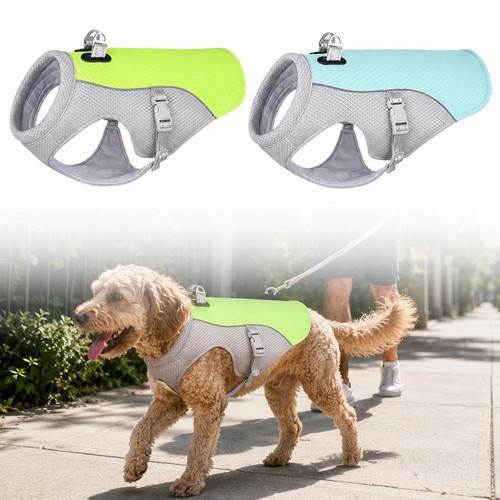 Pet dog cooling vest - dog,