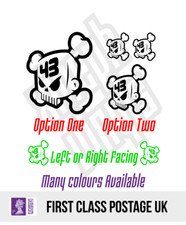 Ken Block Skull #43 vinyl