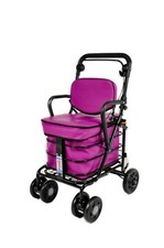 Shopping trolley with seat - trolley,