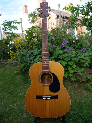 Landola acoustic guitar - f6,
