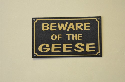 Beware the geese sign - the, or