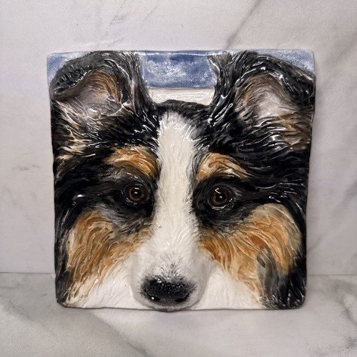 Sheltie shetland sheep dog - sheltie,