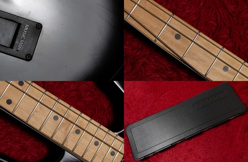 Ernie ball music man - ernie,