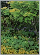 Merriments Gardens Sussex