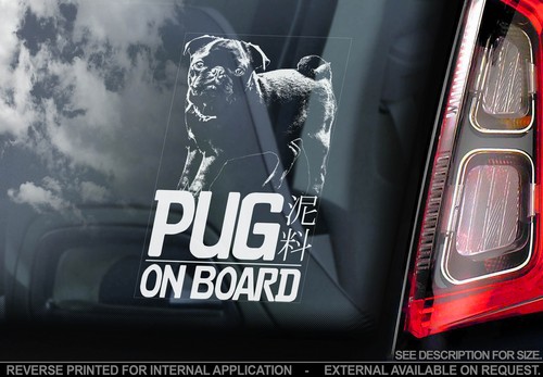 Pug car window sticker - window,