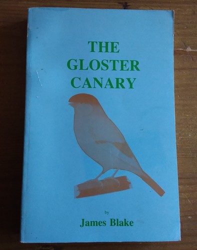 The gloster canary james - gloster,