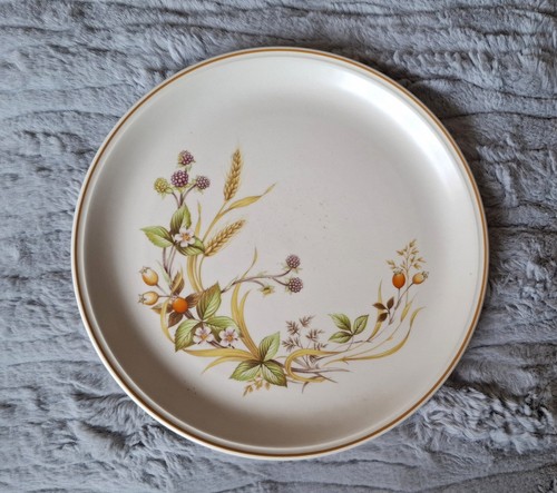 Michael dinner plate - st,