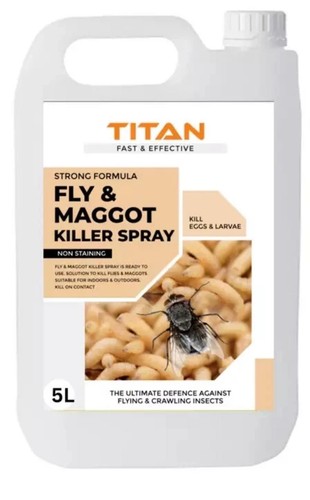 Titan fly maggots - 5l,