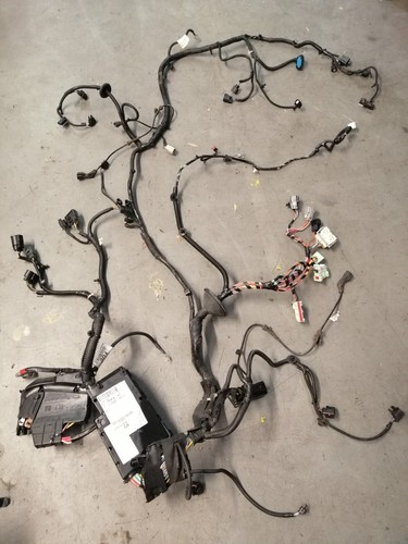 Ford focus engine bay harness - focus,