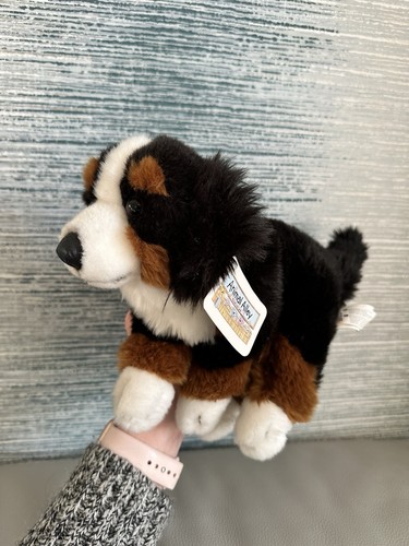 Animal alley bernese puppy dog - bernese,