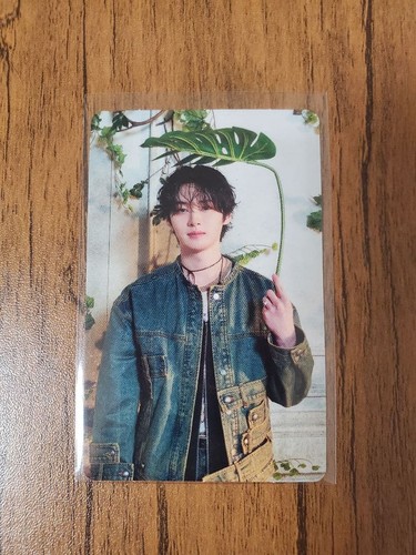 Stray kids lino hollow - kids, limited
