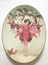 The Fuchsia Fairy Royal