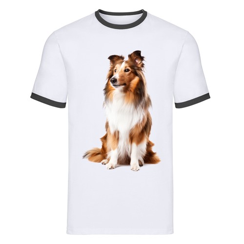 Shetland sheepdog ringer - sheepdog,
