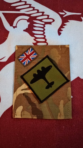 Signal regiment trf - 21,