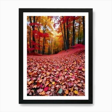 A Colorful Autumn Forest With