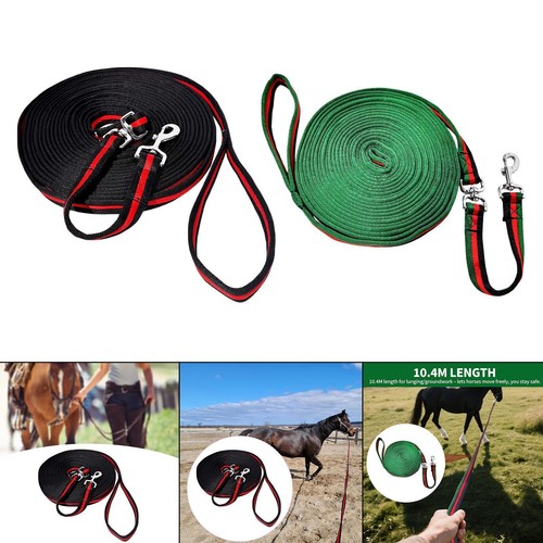 Horse lead rope lunge line - horse,