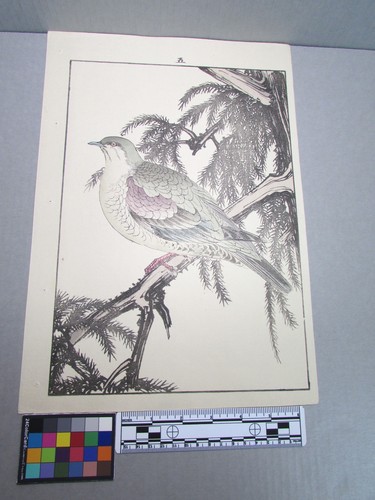 Woodblock print - woodblock,