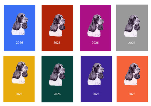 English springer spaniel - spaniel, 2026