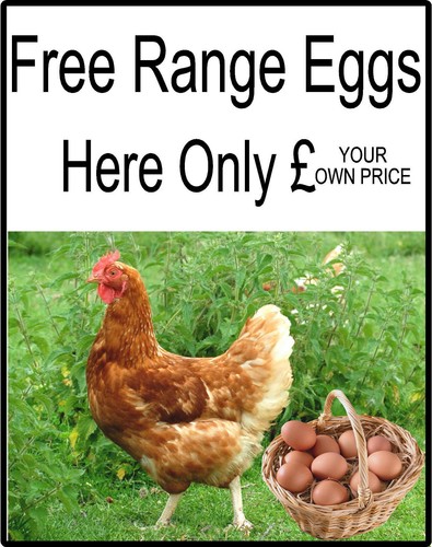 Free range chicken duck - range, or