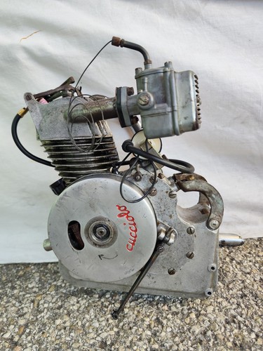 Ducati puppy engine first - puppy,