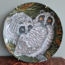 Baby Owls Decorative Wall