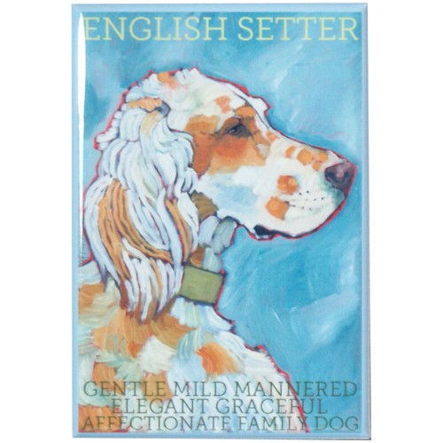 English setter dog portrait - setter,