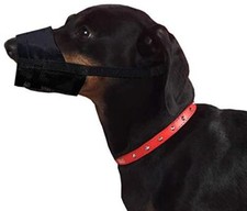 UK Dingo Nylon Muzzle For Jack