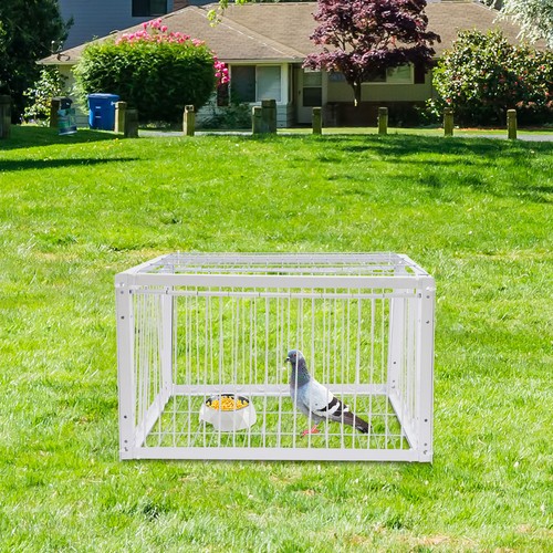 Doors pigeon trap - 4,