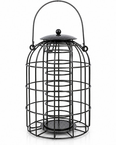 Wild bird caged - fat, ball