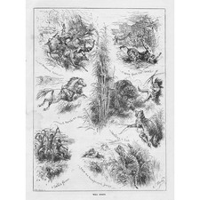 HUNTING Scenes of Wild Sports
