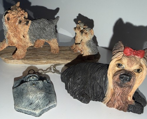 Yorkshire terrier dog - terrier,