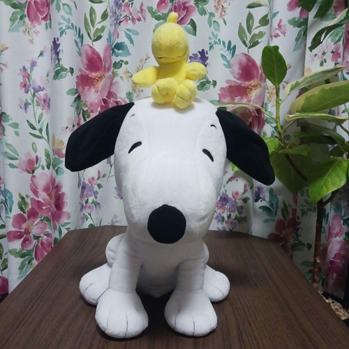 Snoopy stuffed animal - ll,