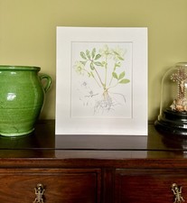 Original signed watercolour