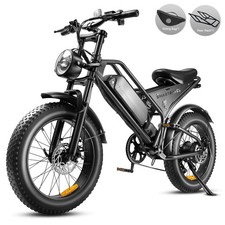 20in Fat Tire Electric Bike