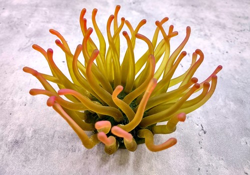 Aqua orange faux - orange,