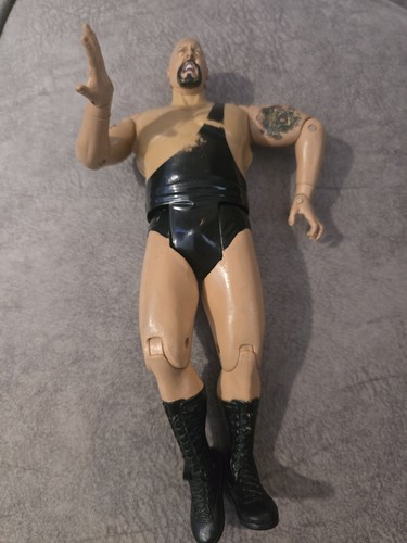 2005 wwe the - 2005, big