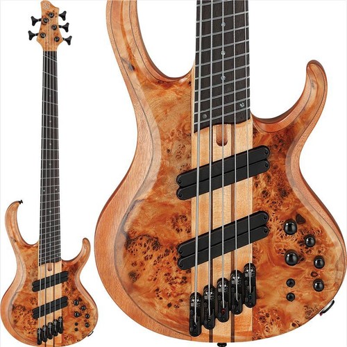Ibanez btb805ms fnl spot model - spot,