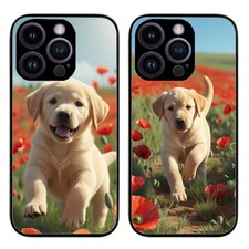 Golden Labrador Puppy Dog