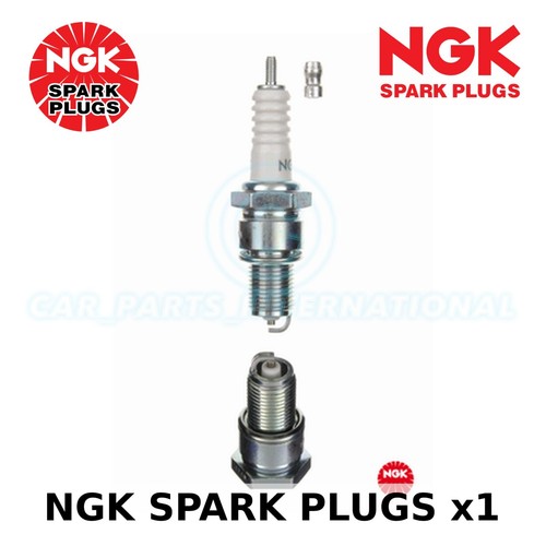 Ngk yellow box spark plug - ngk,