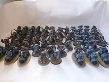 Space Wolves Greyhunters,Blood Claws,Sky Claws,Wolfguard Terminators,Swift Claws