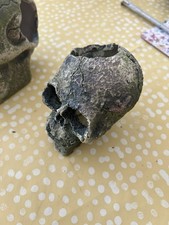 Skull Aquarium Ornament (Polyresin)- Medium 10x 10cm.