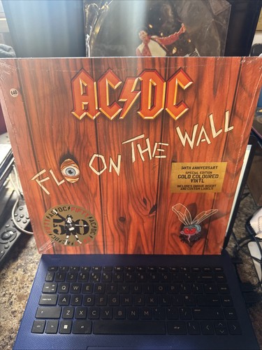 Fly the wall - on,