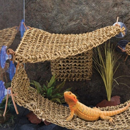 Reptile hammock terrarium - hammock,